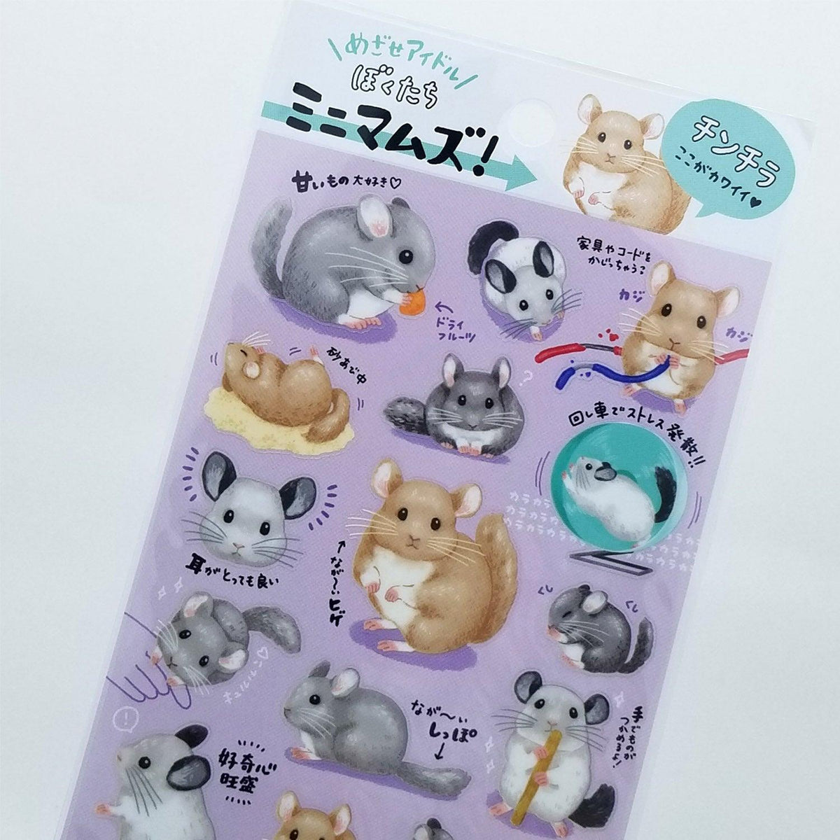 Mind Wave Sticker Sheet Lovely Pet Chinchilla