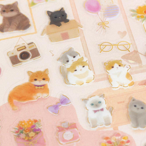 NB Clear Sticker Large Chill - Kitten (5094128) (Pack of 10) | papermindstationery.com