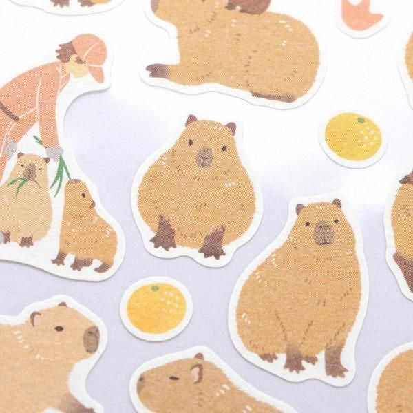 NB Sticker Large Zoom-in Animal - Capybara (5424101) (Pack of 10) | papermindstationery.com