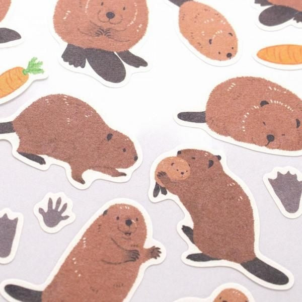 NB Sticker Large Zoom-in Animal - Beaver (5424105) (Pack of 10) | papermindstationery.com