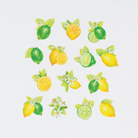 Bande Washi sticker roll Washi Tape - Lemon and Lime | papermindstationery.com | Bande, Food, Fruit, Masking Roll Stickers