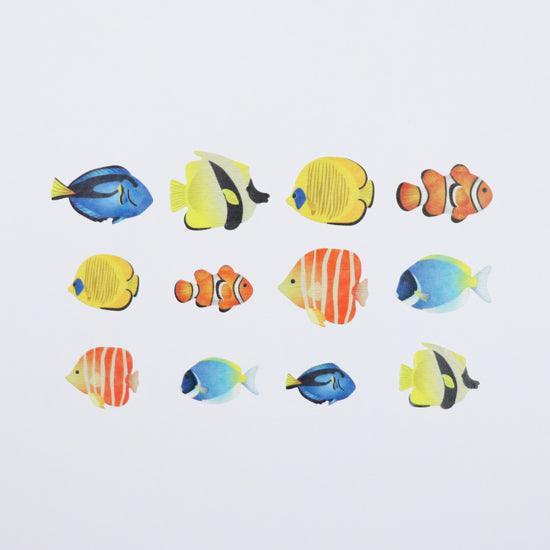 Bande Washi sticker roll Washi Tape - Tropical fish | papermindstationery.com | Animal, Bande, Fish, Masking Roll Stickers