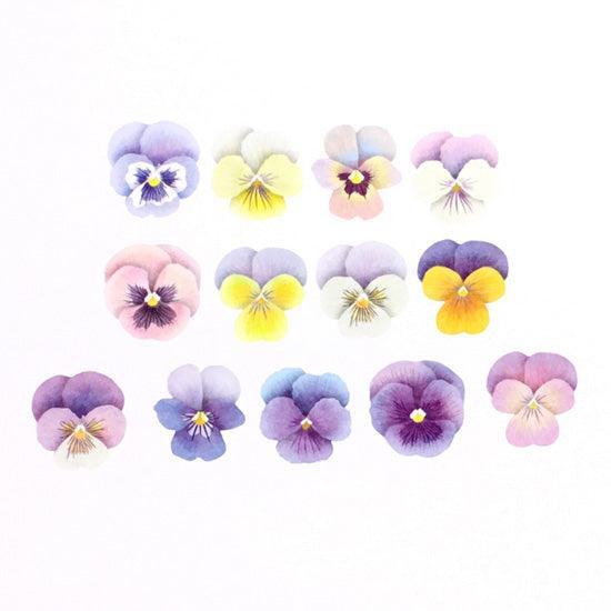 Bande Washi sticker roll Washi Tape - Viola Flower | papermindstationery.com | Bande, Flower, Masking Roll Stickers, Plant