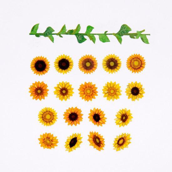 Bande Washi Tape Sticker Roll Art Kit - Sunflower | papermindstationery.com | Bande, Flower, Masking Roll Stickers, Washi Tape Set